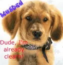 Mudbud From Snow Buddies