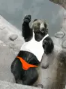 cute