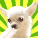 cute