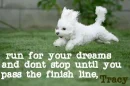 run for your dreams, Tracy