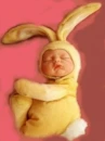 cute easter wabbit