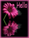 HELLO
