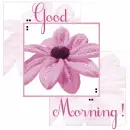 GM