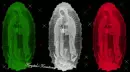 Our Lady of Guadalupe