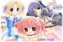 kitties