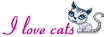 i love cats