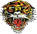 ed hardy