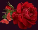rose with happy birthday