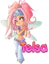 Telsa