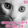 Stop animal abuse !!!