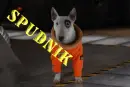 spudnik From Space Buddies