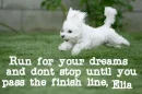run for your dreams, Elia