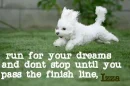 run for your dreams, Izza
