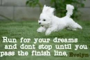 run for your dreams, Evelyn 