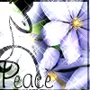 Peaceful Flowers