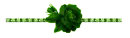 green rose divider