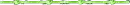 green line divider