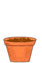 flower in pot