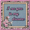 i see you in my dreams