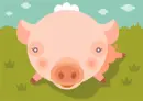pig