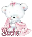 Sache