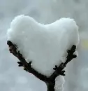 snow love