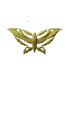 Gold Butterfly 2