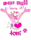 For voting-pink panther-Toni
