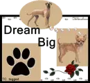 Dream Big
