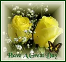 yellow rose great day