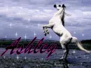 ashley arabian white