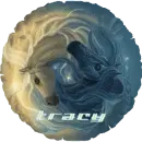 tracy unicorn