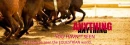 Equestrian World