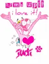 For voting-pink panther-Judi