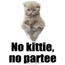 No Kity No Partee