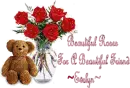 Roses for a Beautiful friend Evelyn