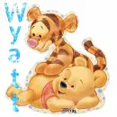 Wyatt- Baby Tigger & Pooh