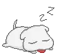 sleeping dog!~*