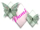 PAMI