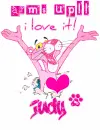 For voting-pink panther-Judy