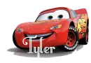 CARS WITH THE NAME TYLER ON IT