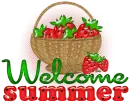 Welcome summer!- basket with fruits