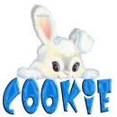 cookie