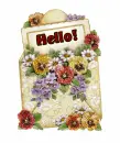 Hello