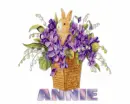ANNIE