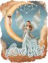 Love It...Fairy On Moon