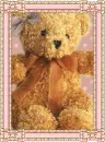 TEDDY BEAR