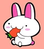 bunny has the carrot