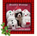 seasons greetings
