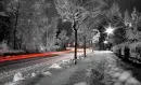 snowy street at night